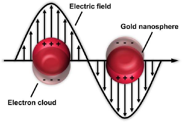 Localized Surface Plasmon Resonance (LSPR) Nelle NP la frequenza di risonanza plasmonica dipende, oltre che dal