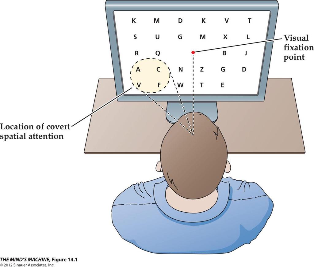 Figure 14.