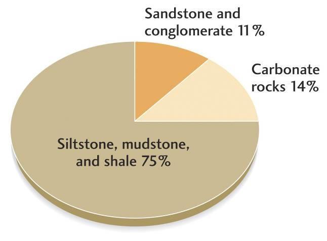 Abbondanza relativa di tutte le r. sedimentarie: 75% della sup. terrestre. A sua volta questo 75 % è diviso in? 1 2 3 1 r.