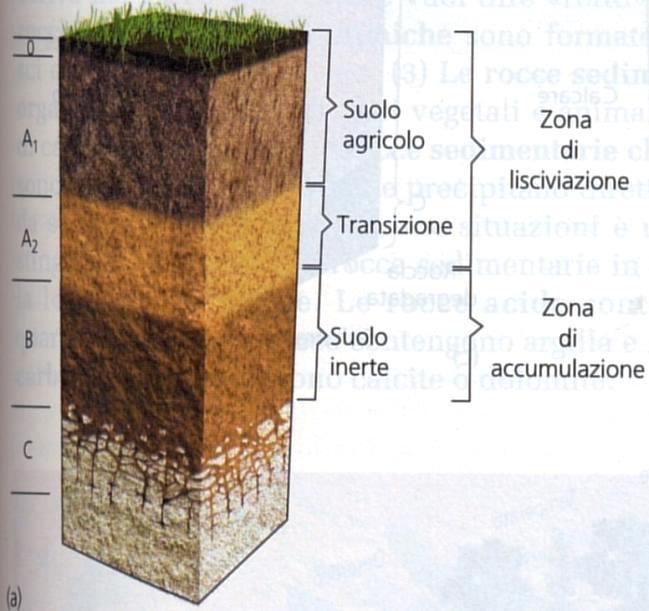 Struttura del suolo: orizzonti suborizzontali, la cui sequenza verticale è detta profilo del suolo 0 (organico) composto da humus, (materiale organico parzialmente decomposto, degradato o