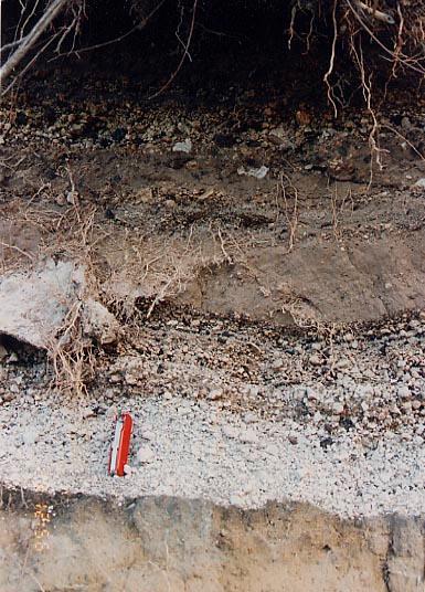 Paleosuoli: suoli sepolti Suolo In corrispondenza del coltellino, si vede uno strato di pomici bianche da caduta (eruzione del Vesuvio detta di