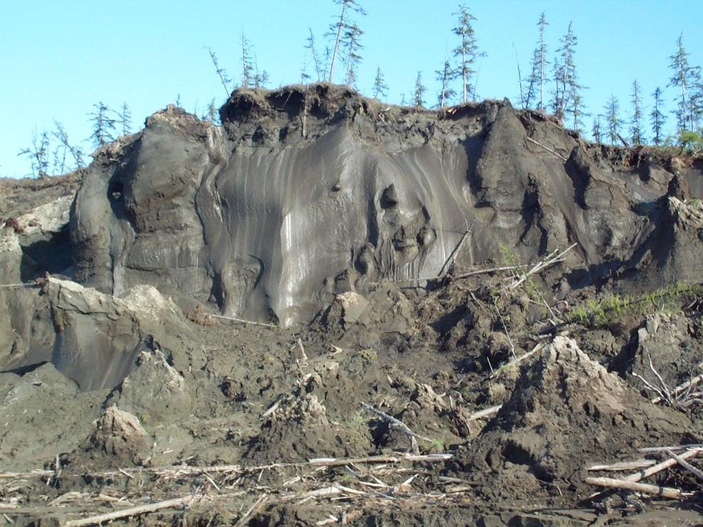 PERMAFROST componente «nascosta» della