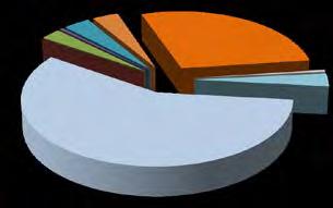 35, comma 3, legge 416/81 e 62/01 24 0,60% 22 0,46% 2 8,33% Liquidazione coatta amministrativa 8 0,20% 3 0,06% 5 62,50% ristrutturazione aziendale 175 4,34% 156 3,23% 19 10,86% TOTALE 4.028 4.