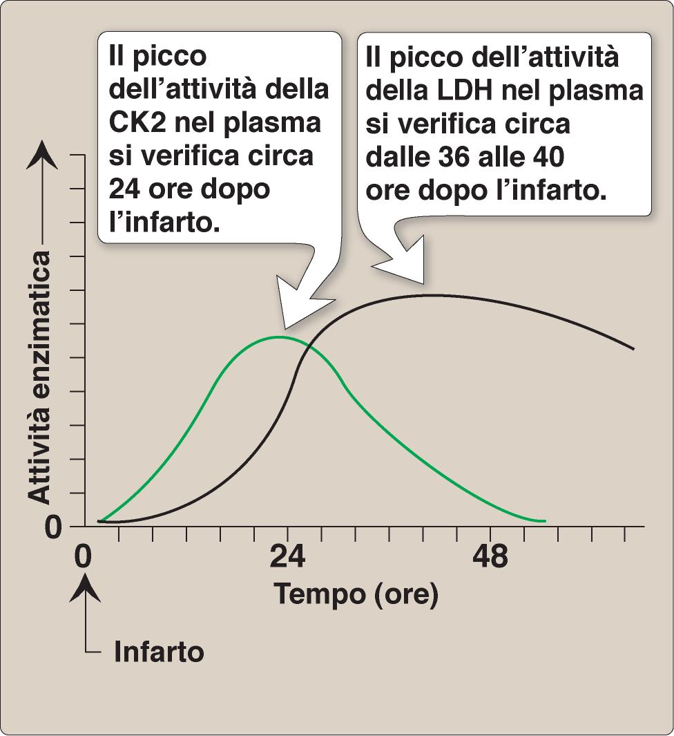 Aumento in circolo di enzimi specifici,normalmente presenti a basse