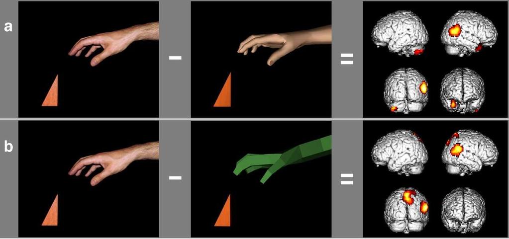 How real is virtual reality? Impact of New Technology Viewing a grasp with a real hand, with a low-quality hand (green) and with a medium quality hand (upper right) in a Virtual Reality environment.
