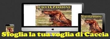 Gallery fotografiche e video fanno da contorno alla lettura della rivista, infatti basta un click sull immagine per approfondire l argomento con video prodotto o invio al sito dell inserzionista.