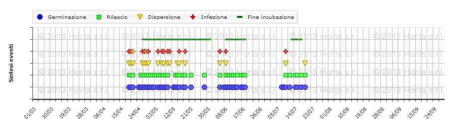 SIMULAZIONE