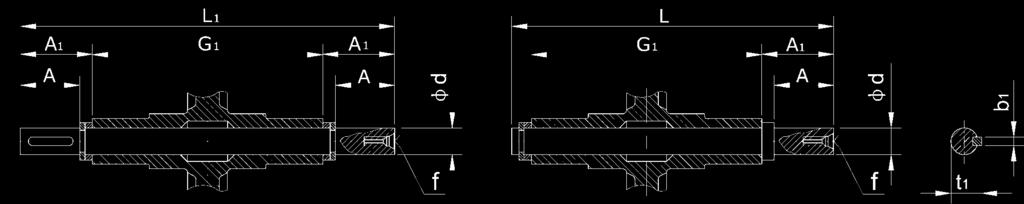 DIMENSIONE ALBERI DI USCITA SINGOLO (DZ), DOPPIO (SZ) OUTPUT SHAFT DIMENSIONS: SINGLE (DZ), DOUBLE (SZ) Taglia d(h6) A A1 G1 L L1 f b1 t1 025 11 23 25,5 50 81 101 / 4 12,5 030 14 33 32,5 63 102 128