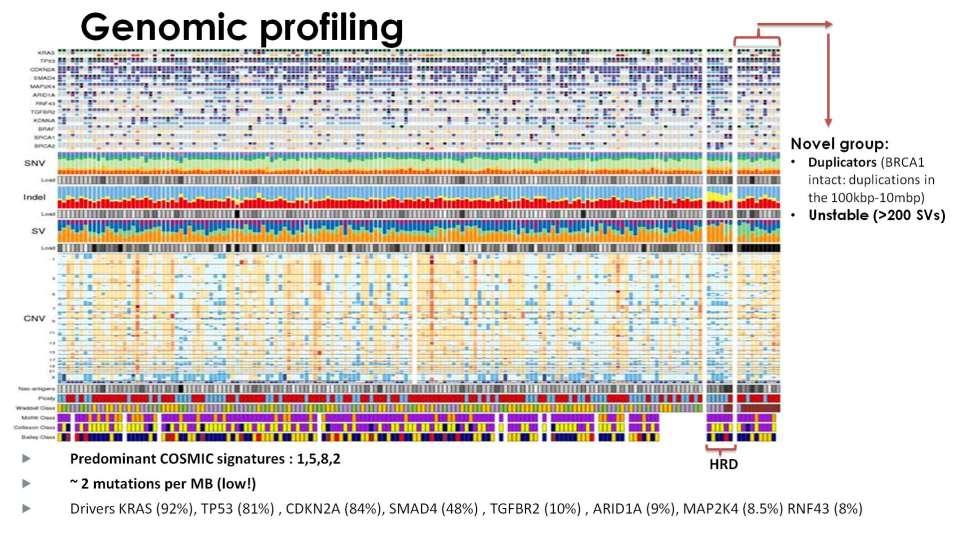Genomic profiling Presented By Grainne