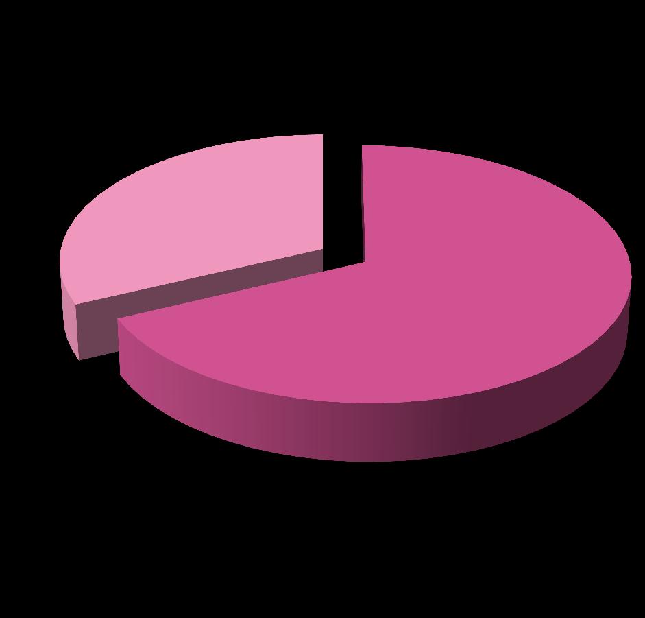 13 16 Settembre 2019 /Febbraio 2020 I numeri di