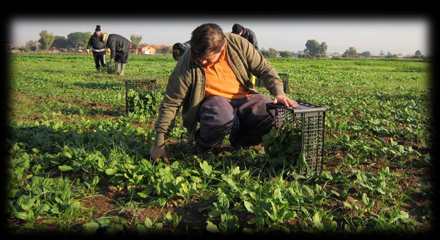 nel mediolungo periodo (significatività e sostenibilità del numero di posti di lavoro stabili creati, prospettive di uscita nel mercato del lavoro ordinario-reti esterne, lavoro sulla crescita