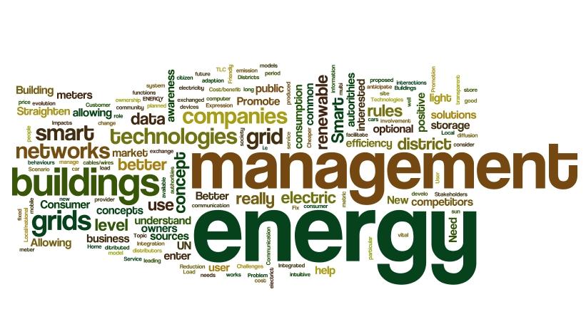 Energy Manager Enti Pubblici SERVIZI: Energy Manager Screening