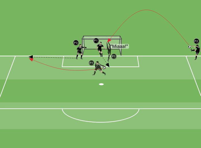 Terza proposta 3 - Situazionale P1 si posiziona in porta. P2 si posiziona lungo-linea fuori dall area di rigore con un pallone. P3 si posiziona in prossimità del secondo palo.