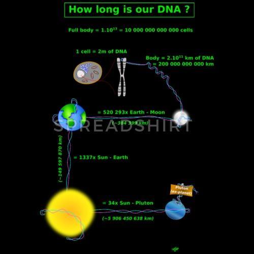 IL DNA È COMPATTATO ALL INTERNO DELLA CELLULA Genoma umano 3Gb 4-10 trilioni di cellule (a seconda delle stime e
