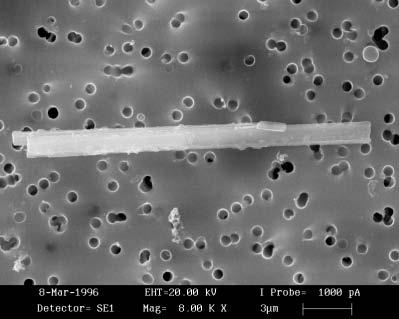 microscopio elettronico Differenza fra