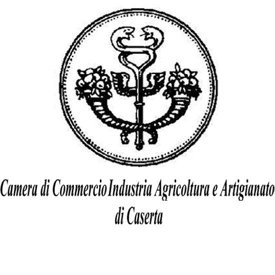 192,200 76 CAP 81056 FRAZIONE: LOCALITA' LANZI Numero REA CE - 139209 Codice fiscale 02047980616 Partita IVA 02047980616 Forma giuridica societa' a responsabilita' limitata Data atto di costituzione