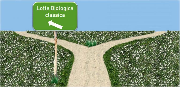 Lotta biologica Fonte: