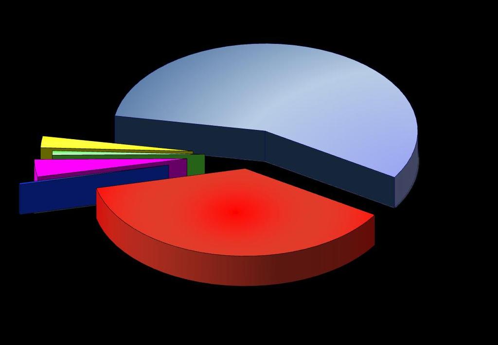 Stato 8 Giudizi,3% per conflitti di attribuzione tra poteri