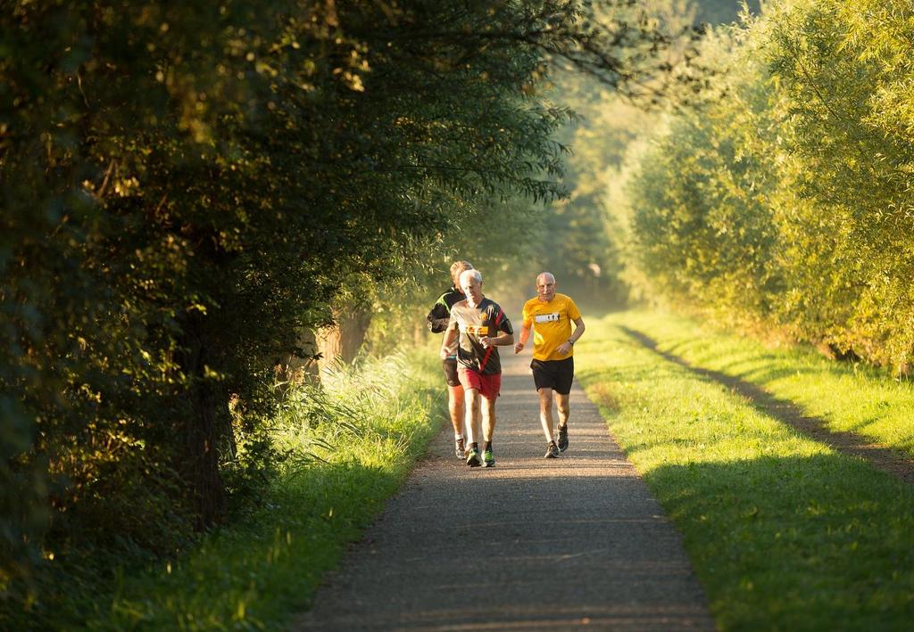 Sport, salute e sedentarietà urbana: