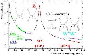 Scoperte Recenti Nel 1983 I bosoni vettori W e Z mediatori della forza debole sono scoperti al CERN