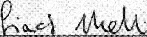 sensi deh art. 24. comma 3, lettera b) della Legge 30 dicembre 2010, n. 240 Bandita con Decreto Rettorale n. 2961 del 13 settembre 2018, con avviso pubblicato nella G.U. n. 76 del 25 settembre 2018, IV sene spedale - Concorsi ed Esami Allegato A2) al Verbale n.