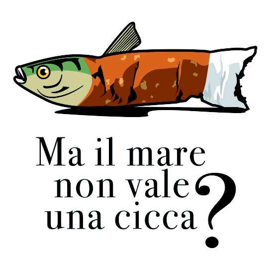 12 LINK http://ceasra21.comune.ra.it http://www.slideshare.net/docgreen/labbandono-di-rifiuti-e-il-littering un libro curato dal Dott.