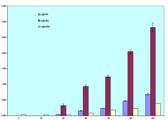 EVOLUZIONE NEL TEMPO DEL PATTERN PEPTIDICO: Peptidi con andamento crescente H 2 N COOH O N H COOH γ-glu-ile γ-glu-leu γ-glu-phe?