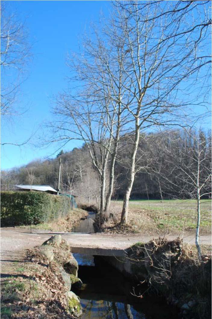 La proprietà è attraversata da una strada campestre normalmente utilizzata da pedoni e ciclisti, oltre che agricoltori