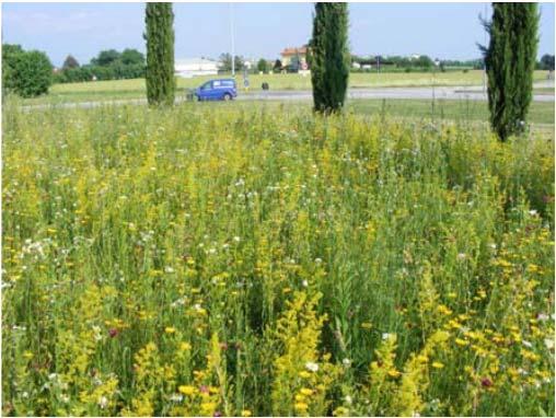 punto di vista naturalistico (diversificazione flora e