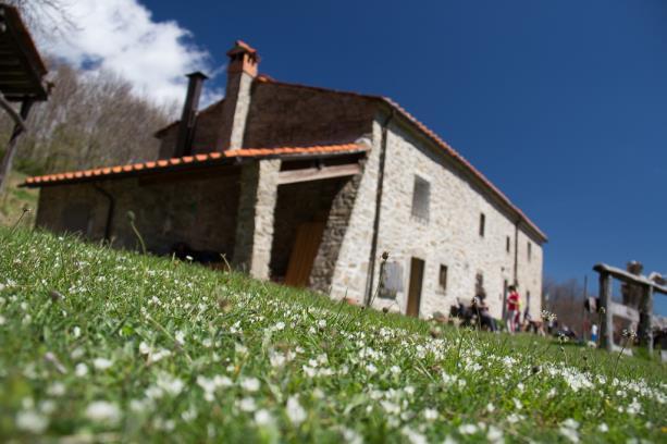 Campi Estivi 2019 MISSIONE NATURA La natura ci fa bene, offre infiniti benefici per il nostro benessere, permette di rilassarci e sentirci più felici e pieni di salute.