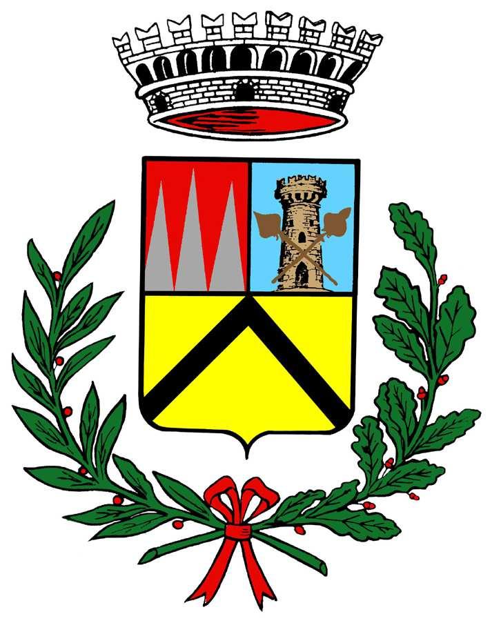 Medaglia d oro al merito civile eventi sismici 1976 COMUNE DI FORGARIA NEL FRIULI Provincia di Udine Approvato con deliberazione consiliare n. 05 del 23.01.