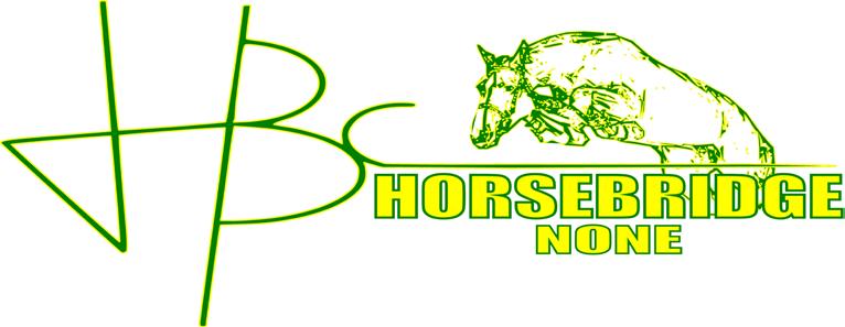 CONCORSO NAZIONALE DI DRESSAGE B iv TAPPA MASTER IBERICO TROFEO GID 9-10 LUGLIO 2011 Tel. +39 011 9906418 Fax +39 0119906851 www.horsebridge.org E-mail: info@horsebridge.