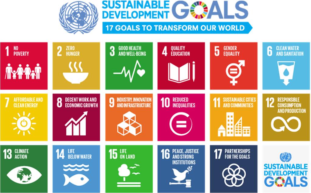 Dopo la sottoscrizione dell Agenda 2030 e degli obiettivi di sviluppo sostenibile (Sustainable Development Goals SDGs) da parte dell Assemblea Generale dell Onu (settembre 2015), organizzazioni