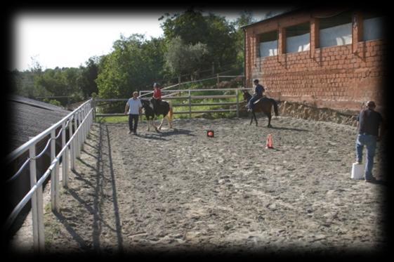 Durante l esperienza, il lavoro con il cavallo procede in modo graduale, dal box alla preparazione dei finimenti, dalla sellatura al governo alla mano, fino agli esercizi di equitazione in campo e l