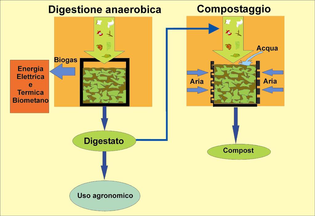 I processi biologici per