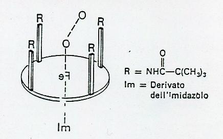 I COMPOSTI SINTETICI I fattori sterici sono molto importanti nel complesso ferro-porfirina