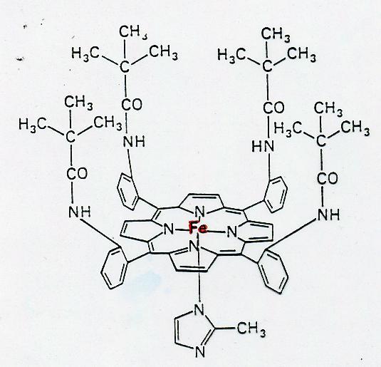 FORMULA DI STRUTTURA DI UNA FERRO-PORFIRINA CON PICCHETTI DI