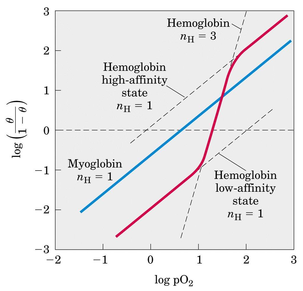 IL COEFFICIENTE DI HILL Il grafico di Hill per il legame