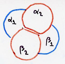 LE INTERAZIONI FRA LE SUBUNITA DELL Hb Le subunità sono disposte ai vertici di un tetraedro, esistono notevoli interazioni tra