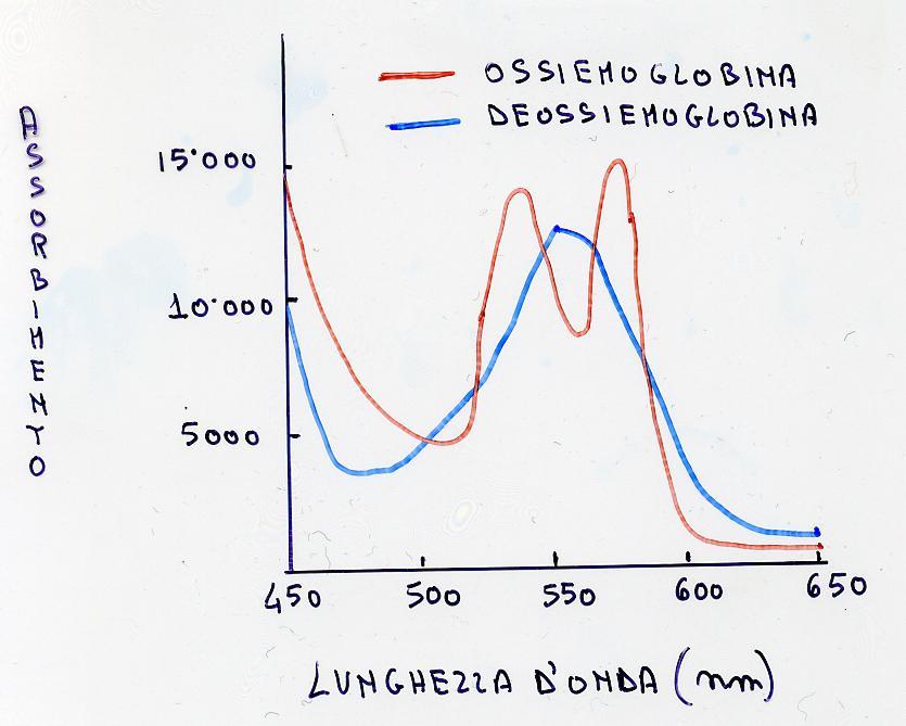 LO SPETTRO DI ASSORBIMENTO DELLA