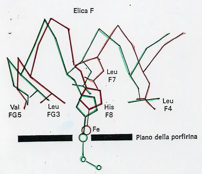 TRASMESSO ALLE ALTRE SUBUNITÀ ATTRAVERSO