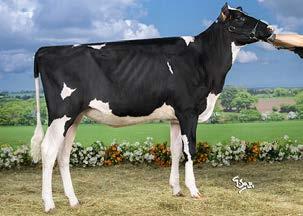 aaa: 531426 I Nato il: 26.11.2013 FAMILY: FLY HIGHER O-MAN EX-90 ipnos IPNOS TV-TL-TY robot fc 3.1 DE000538239227 SHOTGLASS (SNOWMAN X SHOTTLE) X HAS SCALONI X RUW STUD BILLION C. 11.79 Tipo 0.