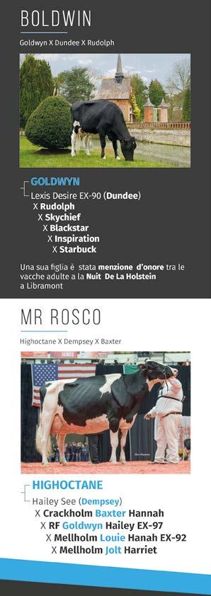 98 Attacco ant. 3.42 Attacco post. 2.39 Legamento 1.57 Prof mammella 2.38 Pos. cap. ant. 1.07 Pos. cap. post. 0.72 Lun. capezzoli 1.32 ISU 164 Grasso % +0.48 PFT 2673 Proteine % +0.15 IES 833 Tras.