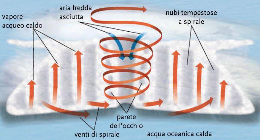 I cicloni tropicali I cicloni tropicali (o uragani o tifoni) sono aree di bassa pressione sede di precipitazioni e vortici di vento.