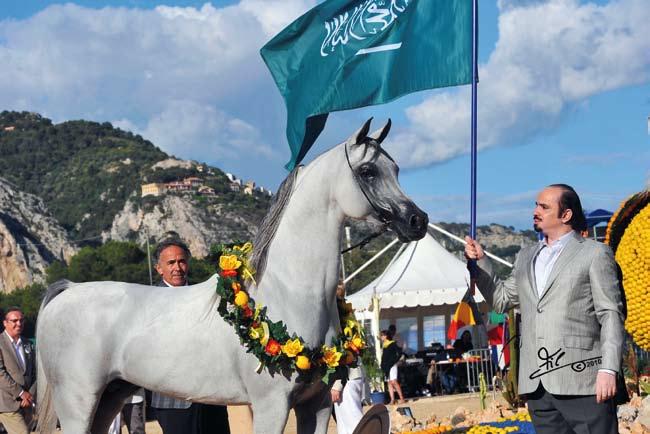 Baanderos (Marwan Al Shaqab