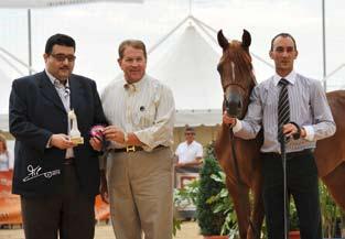 Breeder: Buxton/USA - Owner: Al Khaled Farm/BE Ghanyah