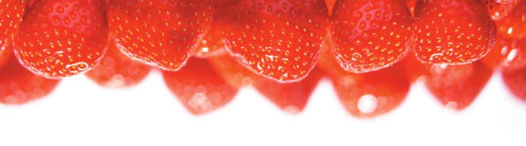 MACEDONIA DI BOSCO SURGELATA Frutta pulita e surgelata: ribes rosso (25%), lamponi