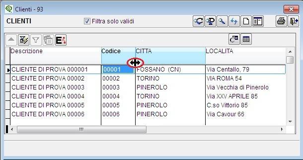 Esporta la funzione consente di esportare i dati visualizzati nella tabella di ricerca. Il programma esporta nel formato scelto tra: - Excel: viene generato un file con estensione xls.