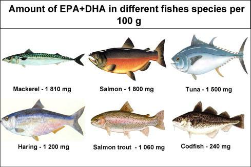 LIPIDI DI DEPOSITO DI PESCI E MAMMIFERI MARINI Il pesce lavorato nell industria viene