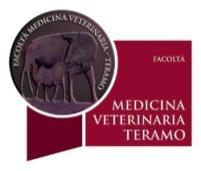 it Medicina Veterinaria: CFU 5 (corso integrato con Statistica e Informatica : CFU 5)